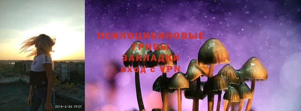 дживик Аркадак