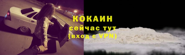 дживик Аркадак
